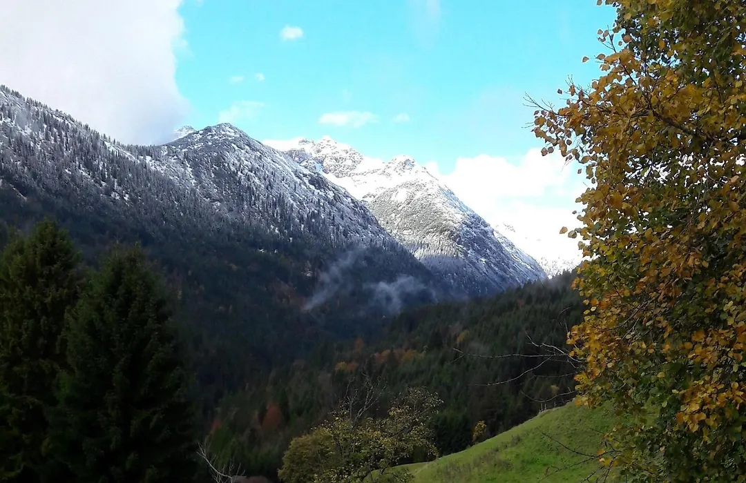 Bergfee Natur Appartements-1